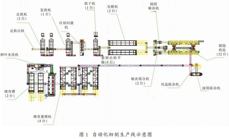 滇紅茶潔凈化自動化生產線建設與應用米樂M6 M6米樂(圖1)