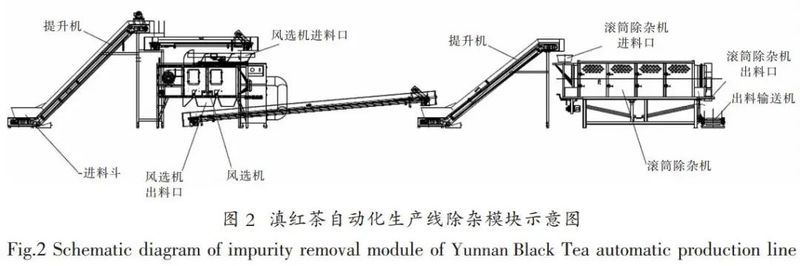 滇紅茶潔凈化自動化生產線建設與應用米樂M6 M6米樂(圖4)